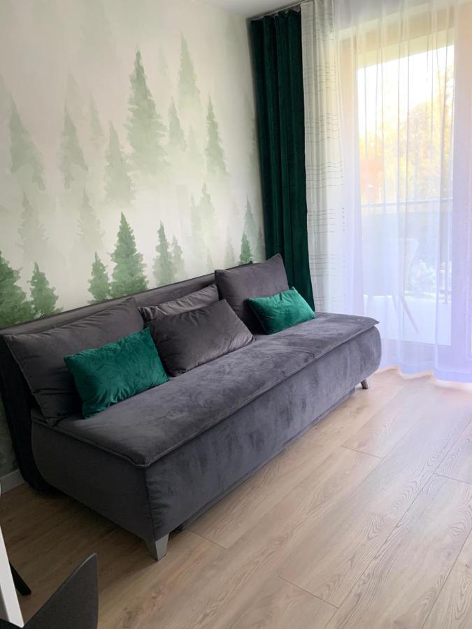 Apartament Skalisty 카르파츠 외부 사진