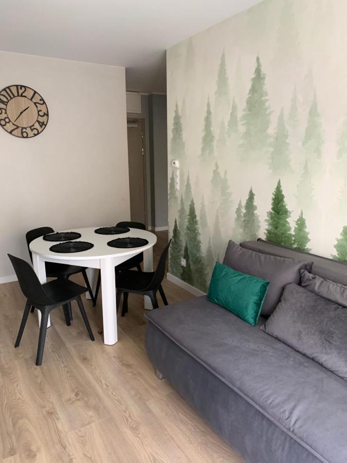 Apartament Skalisty 카르파츠 외부 사진